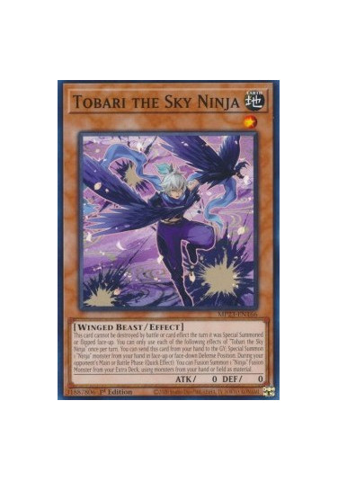 Tobari the Sky Ninja