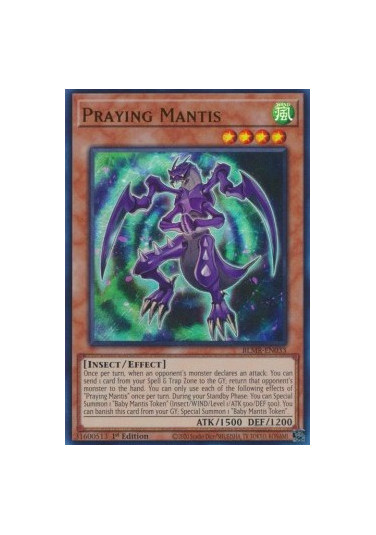 Praying Mantis