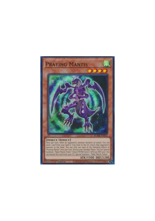 Praying Mantis