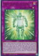 Protection of the Elements