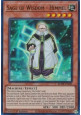 Sage of Wisdom - Himmel