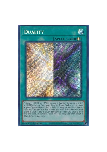 Duality