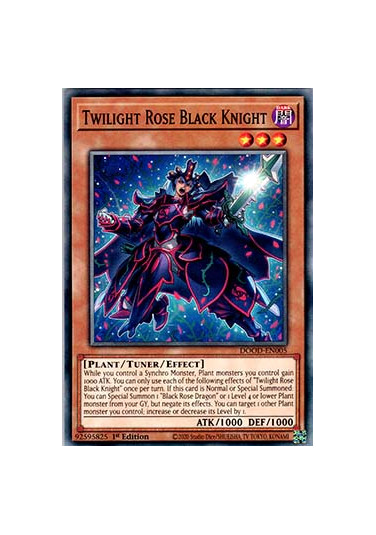 Twilight Rose Black Knight