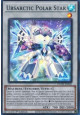 Ursarctic Polar Star