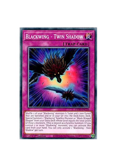 Blackwing - Twin Shadow