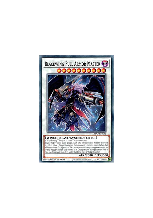 Blackwing Full Armor Master