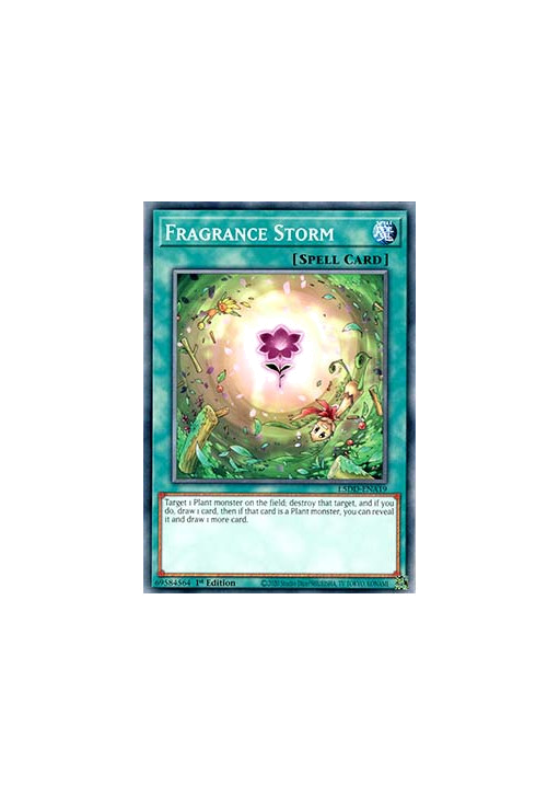 Fragrance Storm