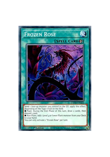 Frozen Rose