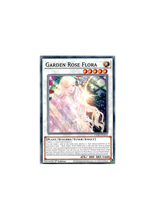 Garden Rose Flora
