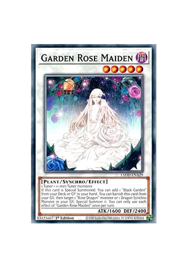 Garden Rose Maiden