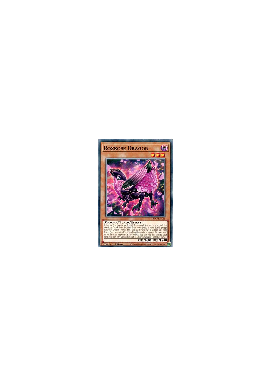 Roxrose Dragon
