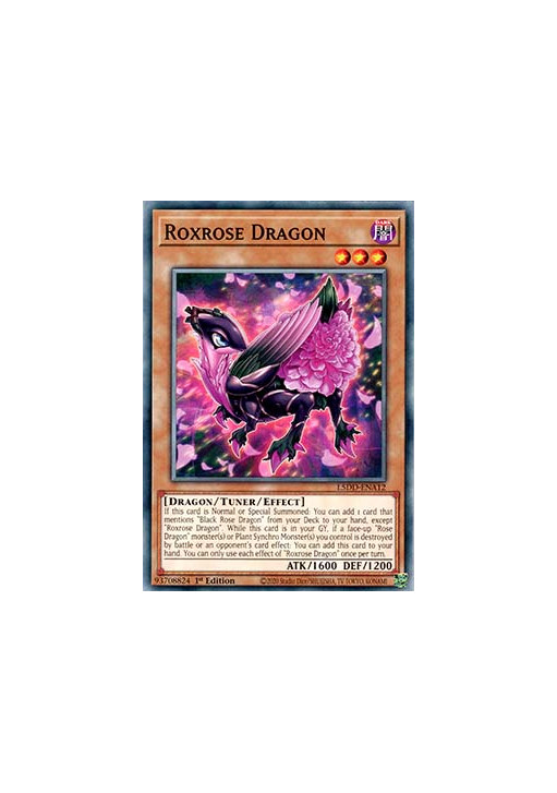 Roxrose Dragon