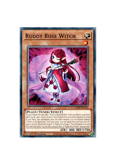 Ruddy Rose Witch
