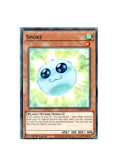 Spore