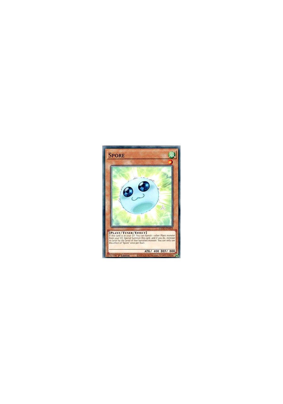Spore