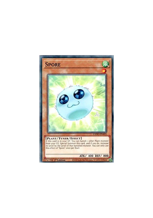 Spore