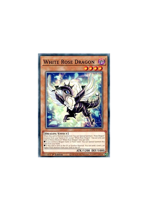 White Rose Dragon