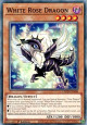 White Rose Dragon