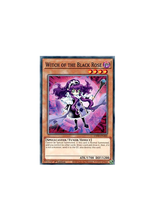 Witch of the Black Rose