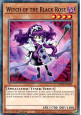 Witch of the Black Rose