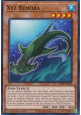 Xyz Remora