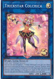 Trickstar Colchica