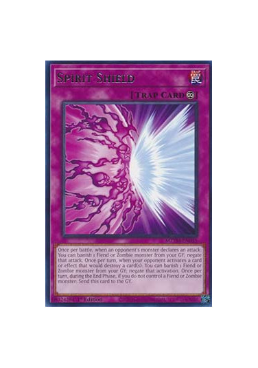 Spirit Shield