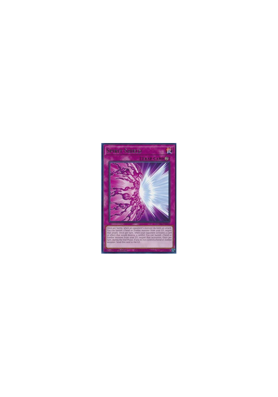 Spirit Shield
