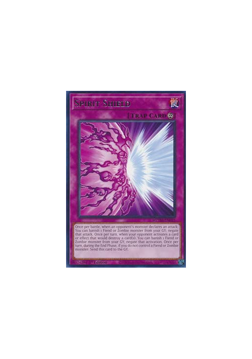 Spirit Shield