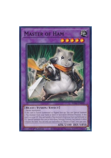 Master of Ham