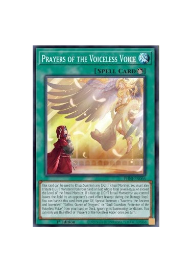 Prayers of the Voiceless Voice
