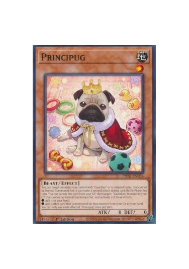 Principug