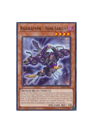 Raidraptor - Noir Lanius