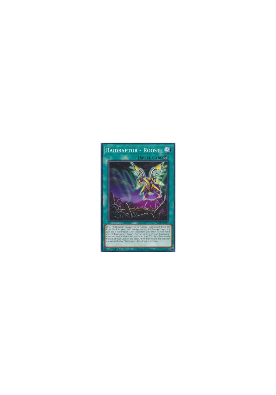 Raidraptor - Roost