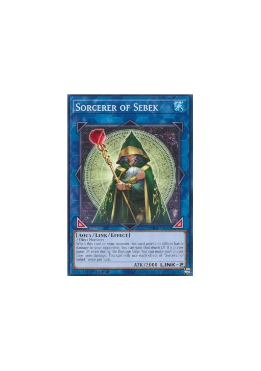 Sorcerer of Sebek