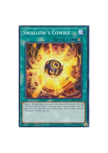 Swallow’s Cowrie
