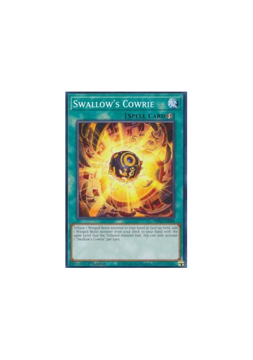Swallow’s Cowrie