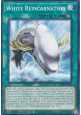 White Reincarnation