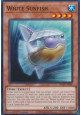 White Sunfish