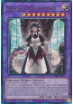 House Dragonmaid (V.8 - Ultimate Rare)
