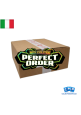 Pokemon Megaevoluzione Perfect Order ETB Case ITA