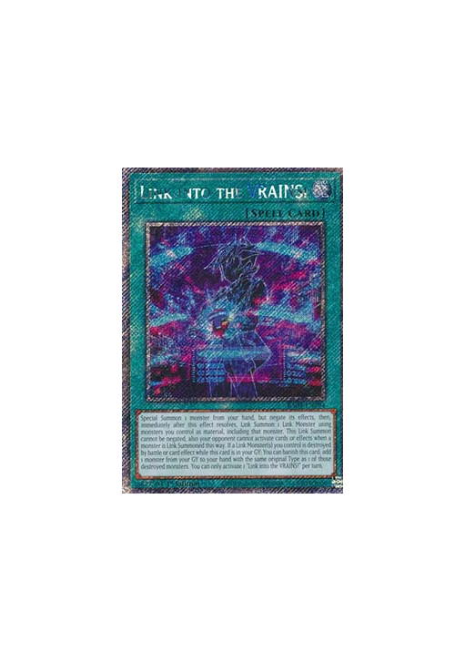Link into the VRAINS! (V.1 - Platinum Secret Rare)