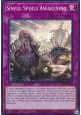 Sinful Spoils Awakening