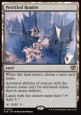 Petrified Hamlet