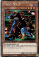 Strike Ninja (V.1 - Platinum Secret Rare)