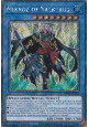 Nekroz of Valkyrus (V.1 - Platinum Secret Rare)