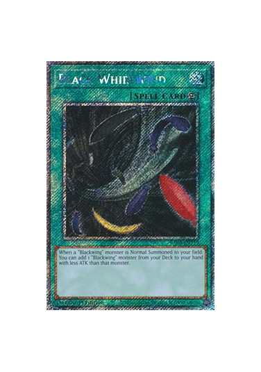Black Whirlwind (V.1 - Platinum Secret Rare)