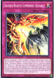 Sacred Beasts Combined Assault