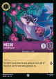 Meeko - Lucky Raccoon
