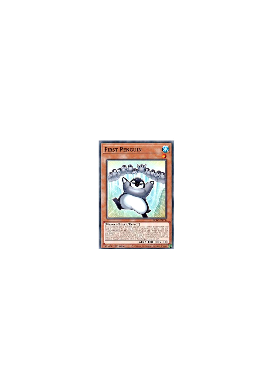 First Penguin